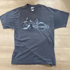 【希少】00s ハーレーダビッドソン Tシャツ カナダ製 PEI 風車 橋 L