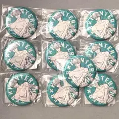 HUNTER×HUNTER ハンターハンター　オールスター缶バッジ　ヒソカ