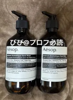 Aesop アンドラム アロマティック ハンドウォッシュ500ml 2本セット