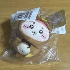 たぬきだもんくじC賞 古本屋（カニちゃん）