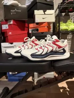 日本未発売　NIKE KD17 USA 27.5cm
