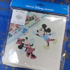 ディズニー★パークマップ★ウォッシュタオル