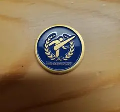 高校サッカー選手権大会100回記念大会トスコイン