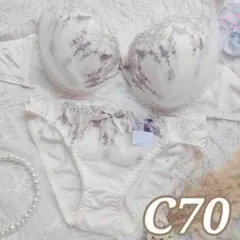 №1511【C70】プリティーキャットアーチプラジャー＆フルバックショー ツ