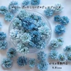 かすみ草　＊ピュアブルー＊　60粒＋α フリルブーケシリーズ　ドライフラワー
