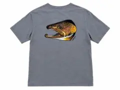 パタゴニア Tシャツ ブラウントラウト グレー