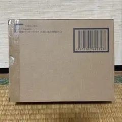 S.H.Figuarts 真骨彫 仮面ライダークウガ 九郎ヶ岳の死闘セット