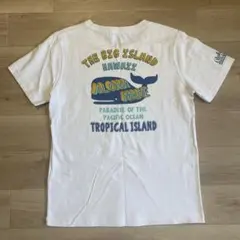 THE BIG ISLAND HAWAII Tシャツのサムネイル