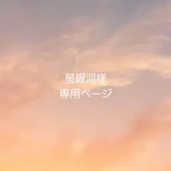 星銀河様 専用ページ