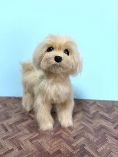 送料込み。お値下げ。トイプードルレッドちゃん。羊カット♡立ちポーズ 送料込み。お値下げ。トイプードルレッドちゃん。羊カット♡立ちポーズ