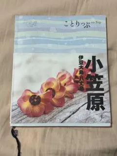 Item thumbnail for item 17ccfbc0-eddb-4360-bb4a-a8f0e17b1088