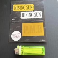 Item thumbnail for item 2bf7020a-7f8a-438e-9473-2cca60bc27c5