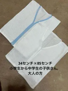 Item thumbnail for item 409fed5e-fd87-40a5-9f69-06fd8742760b