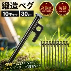 30cm 스틸 페그 캠핑 장비 야외 텐트 후크 로프 10 개