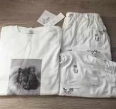 Item thumbnail for item e29074ac-4c4d-4593-b519-ef49184c3e21