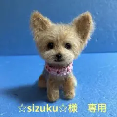 2026年最新】羊毛フェルトヨークシャテリアの人気アイテム - メルカリ