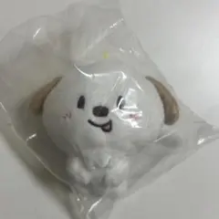 RIIZE アントン 10cm ぬいぐるみ キーホルダー モンリョンイ - メルカリ
