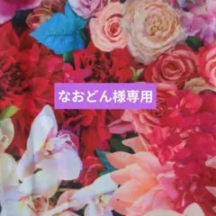 なおどん様専用