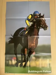 バブルガムフェロー タイキシャトル 両面ポスター サラブレ 競馬