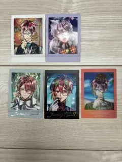 あくねこ　フェネス　ぱしゃこれ