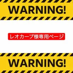 レオカープ様 リクエスト 2点 まとめ商品