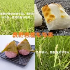 超メルカリ市限定・栃木のお米！ゆうだい21♡5kg - メルカリ