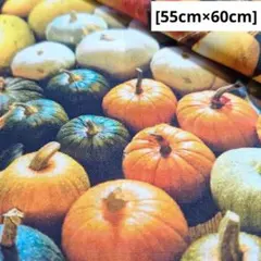 ✿〈希少〉パンプキンパンプキン<USAコットン>生地 布 はぎれ