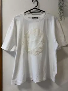 ZARA 半袖Tシャツ ホワイト 刺繍デザインのサムネイル