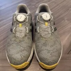 adidas golf ゴルフシューズ　ジュニア23cm 男女兼用