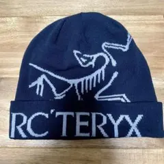 2026年最新】PALACE ビーニーの人気アイテム - メルカリ