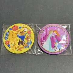 ディズニー刺繍缶バッジ　美女と野獣　アナと雪の女王