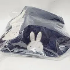 Item thumbnail for item 635ebc66-3982-40e8-a0c7-eb743bcf497b