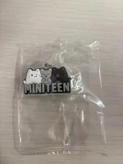 SEVENTEEN ミニティーン miniteen ジュン めじるしアクセサリー