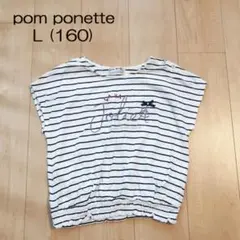 ポンポネット 半袖カットソー 160L pom ponette ボーダー リボンのサムネイル
