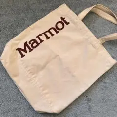 Item thumbnail for item e4464bab-d1b6-4001-b2c0-4df6671b52d4