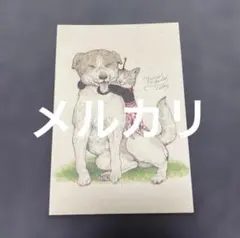 Item thumbnail for item 1a53db89-f38e-412f-9316-680010b6e7cc