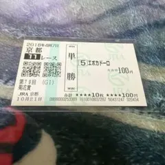 2018 菊花賞　エポカドーロ　現地単勝馬券　外れ馬券のサムネイル