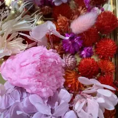 プリザーブドフラワー詰め合わせセット
