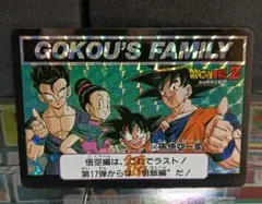 ドラゴンボール　カードダス　６４６ 孫悟空一家【美品】