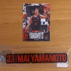 トヨタアンテロープス 山本麻衣 グッズセット
