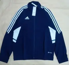 Item thumbnail for item ea3e5619-9f77-4702-90be-1525379db384