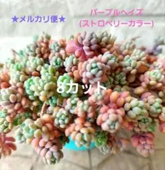 ミルル様 リクエスト 2点 まとめ商品