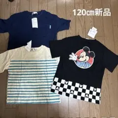 Item thumbnail for item 8d635517-06b1-4406-93b2-eefd1110a2b8