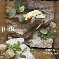 爬虫類ケージ GEX エキゾテラ グラステラリウム 3045 バックボード 3枚