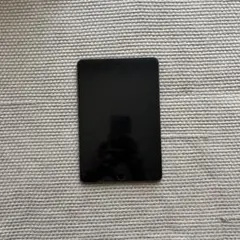 iPad mini5 本体 スペースグレー