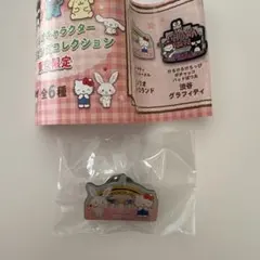 東京限定サンリオキャラクターご当地ピンズコレクション　キティとウィッシュミーメル