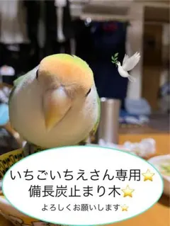 Item thumbnail for item 567bda9c-f2a1-4cbd-8d87-d09ff5ec279f