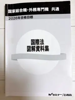 外務省専門職　国際法　図解資料集のサムネイル