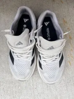 Item thumbnail for item 7b8b70d7-43ed-40c9-8cc4-17d7b525a019