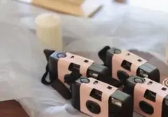 水色オーガンジー（布150×200）